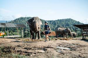 BIB: 
                            <button type="button" onclick="openModal(22423600)" class="btn btn-primary btn-sm float-right btn-popup" data-toggle="modal" data-target=".modal-high-quality">
                        <i class="fas fa-shopping-cart"></i> Add to Cart
                    </button>
                                            <button type="button" onclick="isThisMe(22423600, true)" class="btn btn-success btn-sm float-right btn-popup btn-isme hidden" data-toggle="tooltip" data-placement="bottom" title="นี่คือรูปของคุณใช่ไหม คลิกที่นี่เพื่อเอาเข้าอัลบั้ม">
                        <i class="fas fa-plus"></i> Add to album
                    </button>
                    <button type="button" onclick="isThisMe(22423600, false)" class="btn btn-warning btn-sm float-right btn-popup btn-isnotme hidden">
                        <i class="fas fa-ban"></i> Remove from album
                    </button>